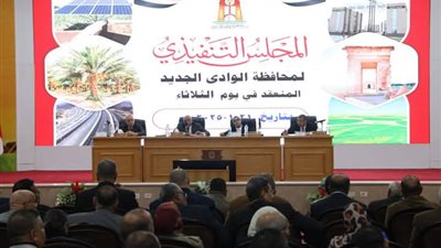 9 قرارات جديدة خلال اجتماع المجلس التنفيذي لمحافظة الوادي الجديد