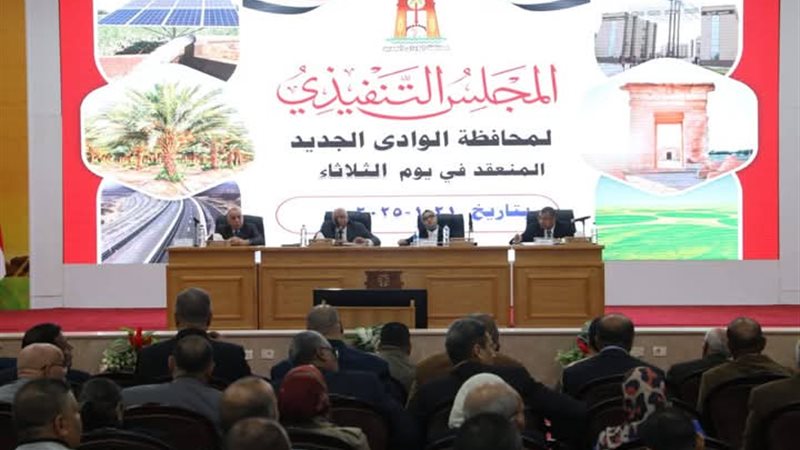 مجلس تنفيذي الوادي