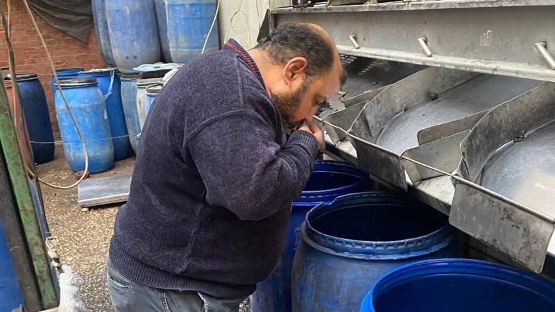 ضبط مخلل فاسد بالقليوبية،