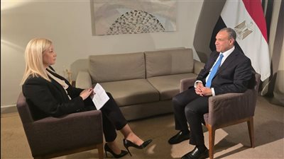 وزير الخارجية يستعرض محددات الموقف المصرى إزاء العديد القضايا الإقليمية 