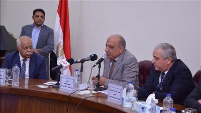 وزير الكهرباء يكشف أهداف مشروعات الربط مع دول الجوار 