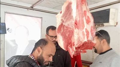 ضبط 6 أطنان لحوم ودواجن وكبدة وأسماك فاسدة في الجيزة