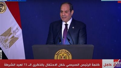 الرئيس السيسي: هدف الإعداد والاصطفاف كان لطمأنة المصريين