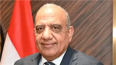 وزير الكهرباء: نتبنى برنامجًا طموحًا لتعظيم استغلال موارد الطاقة المتجددة