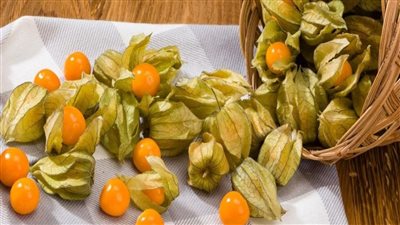 الحرنكش، 10 فوائد مذهلة تجعلك تتناوله بانتظام