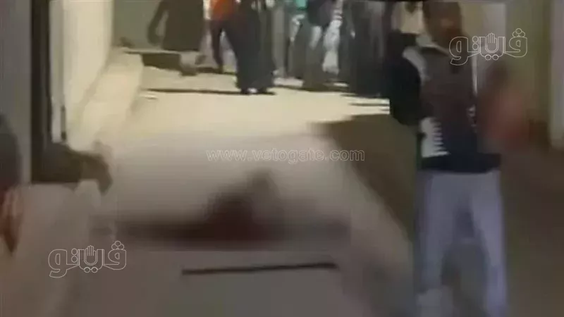 حادث الأقصر، فيتو