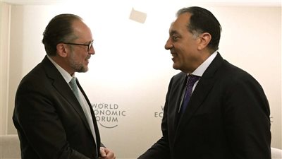 مستشار النمسا يعرب عن تقديره للدور المصري في التوصل إلى اتفاق وقف إطلاق النار بغزة