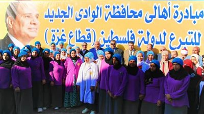 محافظ الوادي الجديد يدشن مبادرة لدعم الشعب الفلسطيني (صور)