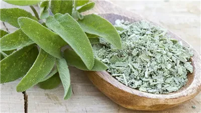 فوائد الميرمية، تخفف القلق والتوتر وتحمي قلبك