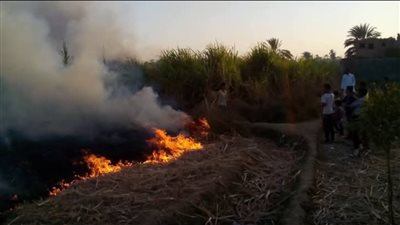 براءة 16 متهمًا في قضية مشاجرة قرية المعنا وإحالة طفلة إلى محكمة الأحداث