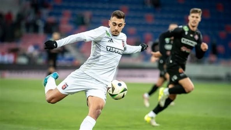 نيجك جراديشار، فيتو