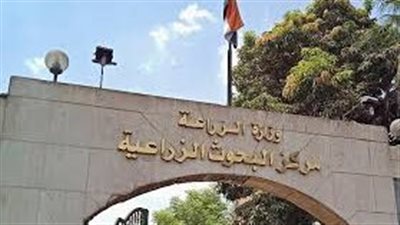 البحوث الزراعية ينظم ورشة عمل حول البصمة الكربونية وتأثيرها على التغيرات المناخية