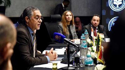 حسام هيبة: المناطق الحرة في جنوب مصر تحقق ميزة تنافسية للصناعات السودانية