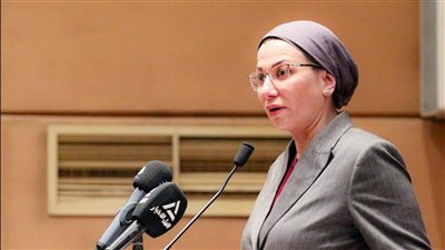 يوم البيئة الوطني 2025.. مصر تحتل المركز الثاني عربيًا في تمكين ملف المناخ.. وتتصدر أول تقرير للشفافية لحصر خفض الانبعاثات