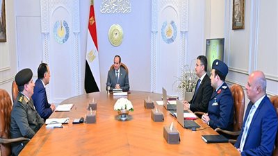 السيسي يؤكد أهمية تحويل مصر إلى مركز لوجيستي إقليمي لتجارة السلع الاستراتيجية