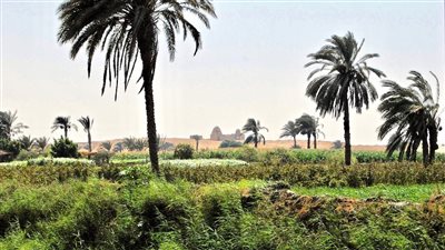 حالة الطقس غدًا الإثنين 27-1-2025 في الفيوم 