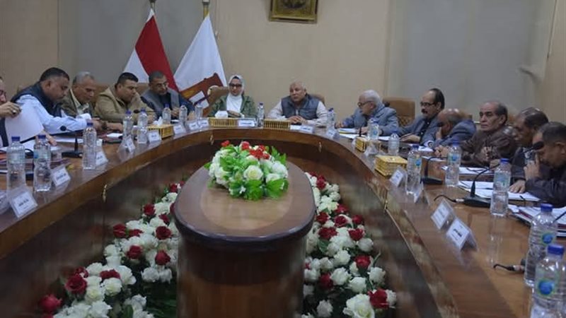 الوادي الجديد، ڤيتو