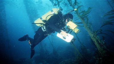 السويد تحقق في 