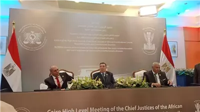 المستشار طارق شبل: الدستورية جاهزة لاستقبال مؤتمر رؤساء المحاكم الافريقية