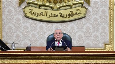 رئيس النواب: أطروحات تهجير الفلسطينيين تمثل خطرًا على الأمن والاستقرار الإقليمي