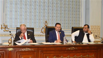 زراعة النواب تناقش عددا من طلبات الإحاطة وتدعو محافظ أسوان للحضور