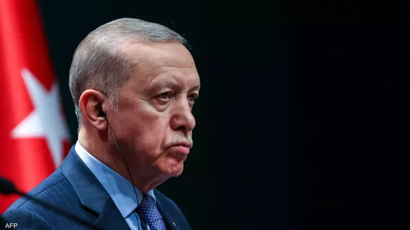 اردوغان، فيتو 