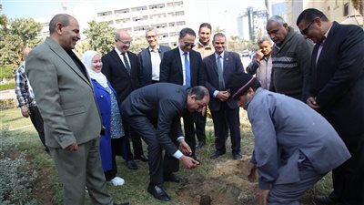 الفيوم تحتفل باليوم الوطني للبيئة بزراعة أشجار مثمرة داخل الحرم الجامعي
