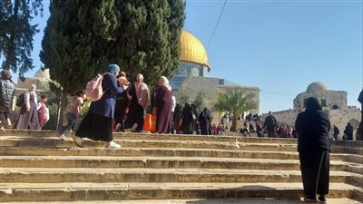 قوات إسرائيلية تعتدي على المراسل الأمريكى آرون بوكسرمان فى القدس المحتلة