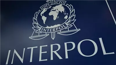 الإنتربول: اعتقال 37 شخصًا يشتبه بهم في قضايا إرهاب بشرق أفريقيا