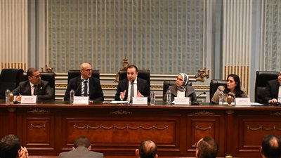 إعفاء جهازين سنويا، توصيات برلمانية لحل أزمة جمارك التليفونات للمصريين بالخارج