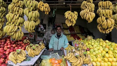 العنب المستورد يرتفع 5 جنيهات في سوق العبور، وهذه أسعار الفاكهة اليوم