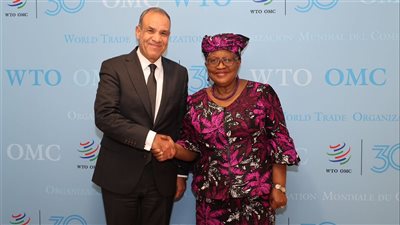 وزير الخارجية: مصر خسرت 70‎‎% من عوائد قناة السويس على مدار الأشهر الماضية