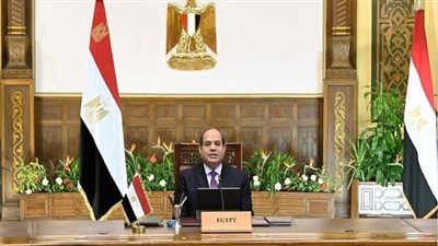 السيسي يشيد بتوسع أعمال شركة كونسنتركس الأمريكية في مصر