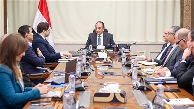 وزير قطاع الأعمال العام يتابع موقف مشروع إقامة مجمع لصناعة الأسمدة الفوسفاتية