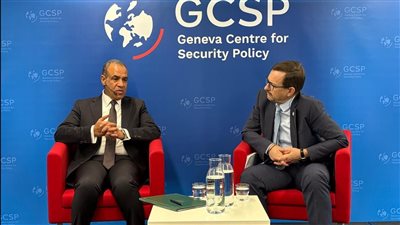 وزير الخارجية والهجرة يشدد على ضرورة إقامة دولة فلسطينية على خطوط الرابع من يونيو 1967