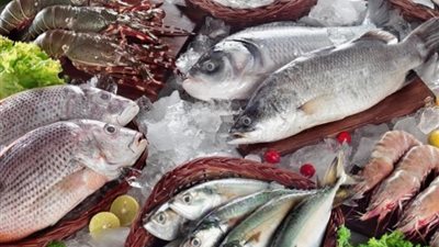 أسعار السمك اليوم، انخفاض البلطي والدنيس والمرجان في سوق العبور