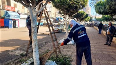 حملات نظافة وتجميل بشوارع مركز دسوق في كفر الشيخ