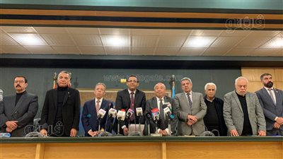 البلشي يعلن خطة النقابات المهنية لدعم القضية الفلسطينية ورفض محاولات التهجير (فيديو وصور)