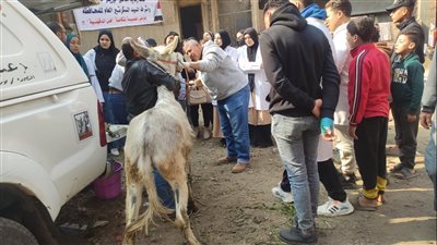 استفادة 3 آلاف مواطن من قافلة شاملة بقرية الرحمانية في الدقهلية (صور)