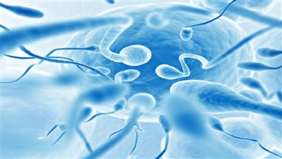 دراسة: الصدمات النفسية في الطفولة قد تترك آثارا في جينات الحيوانات المنوية