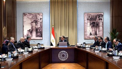 مدبولي: صناعة التعهيد أبرز القطاعات الواعدة بالاقتصاد المصري