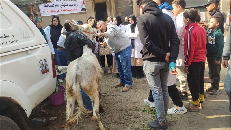 قافلة طبية بالدقهلية،