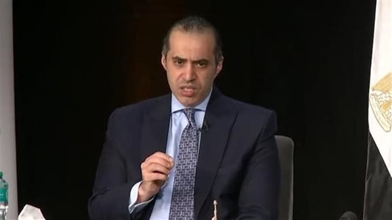 المستشار محمود فوزي،