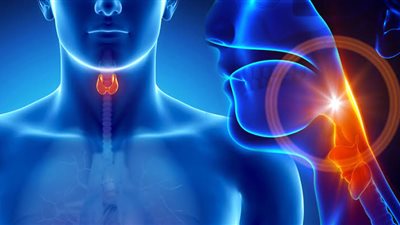 اضطرابات الغدد الصماء، الأعراض والأسباب وطرق العلاج