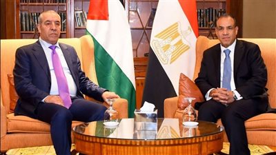 وزير الخارجية يشدد على دعم مصر لحقوق الشعب الفلسطيني الرافض للتهجير