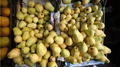 تفسير حلم الجوافة في المنام وعلاقته بمال يأتي خلال أيام 