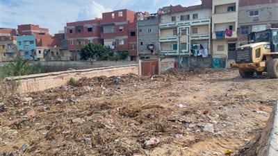 رفع 84 طن مخلفات صلبة بمحور المحمودية في البحيرة 