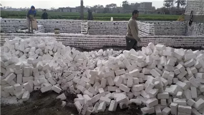 إزالة 20 حالة بناء مخالف وتعدٍ على الأراضي الزراعية بالجيزة