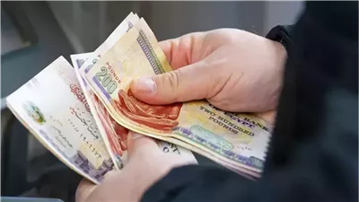 مجلس الوزراء: لا صحة لتقديم موعد صرف العلاوة الدورية للعاملين بالدولة