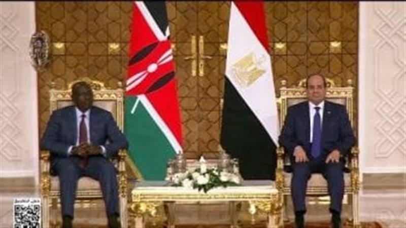 الرئيس السيسي ونظيره
